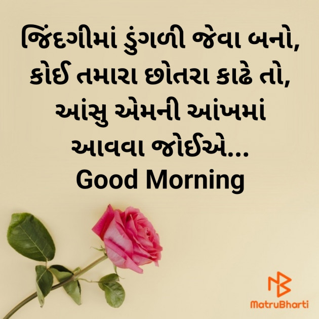 Gujarati Good Morning by Nirav Devani : 111878262