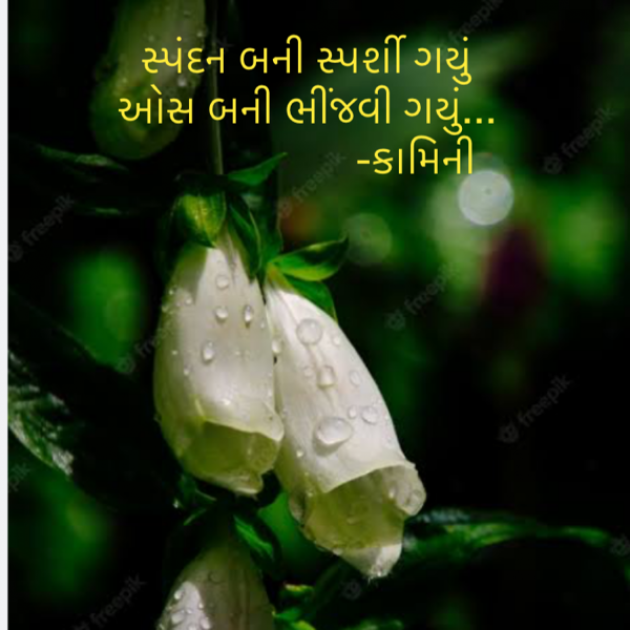 Gujarati Poem by Kamini Shah : 111878277