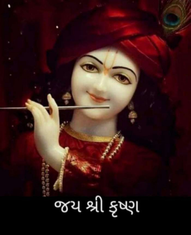 Gujarati Whatsapp-Status by Zala Jayvirsinh : 111878660