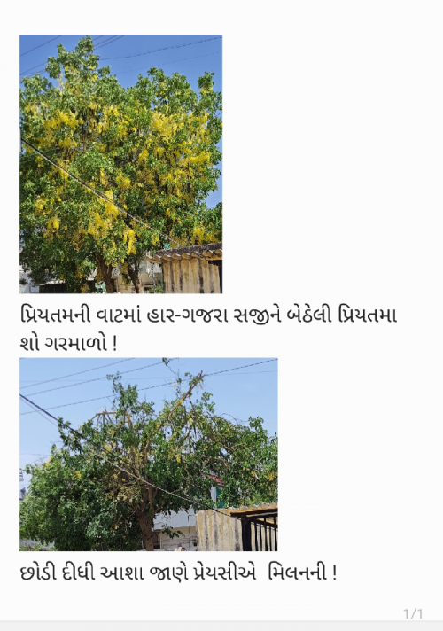 Post by Varsha Shah on 04-Jun-2023 11:59am