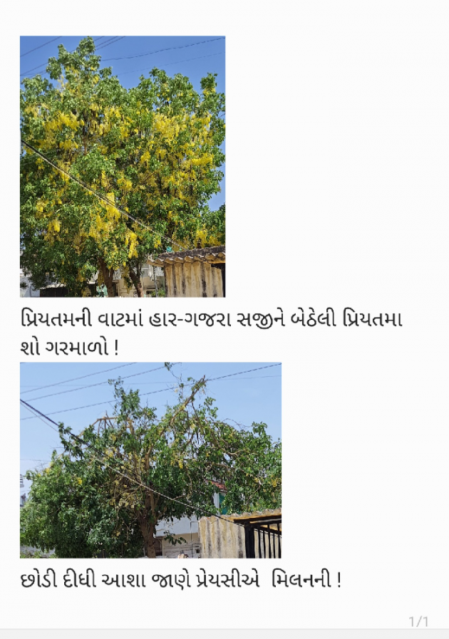 Gujarati Thought by Varsha Shah : 111879091