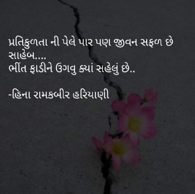 Gujarati Quotes by Heena Hariyani : 111879207