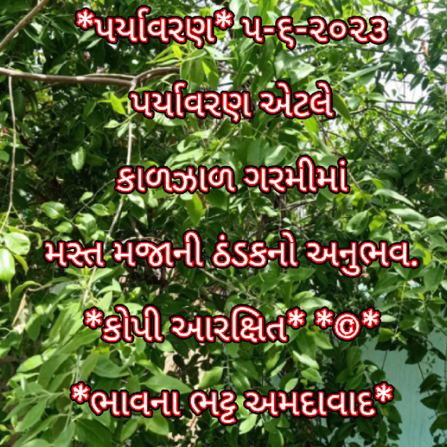 Gujarati Blog by Bhavna Bhatt : 111879313