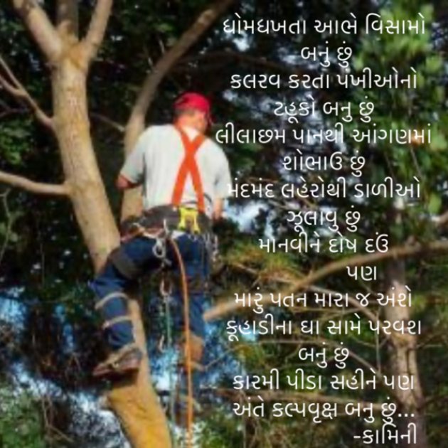 Gujarati Poem by Kamini Shah : 111879327