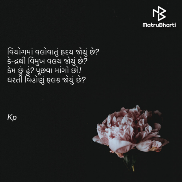 Gujarati Shayri by Kashyap Pipaliya : 111879361