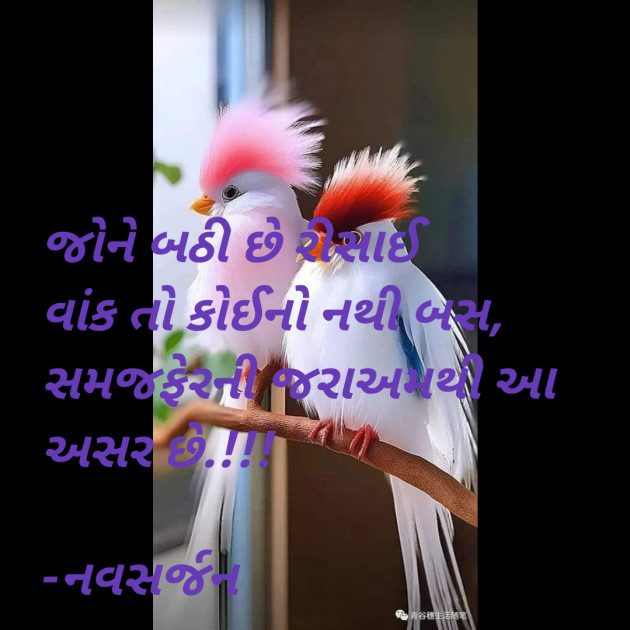 Gujarati Romance by નવસર્જન : 111879684