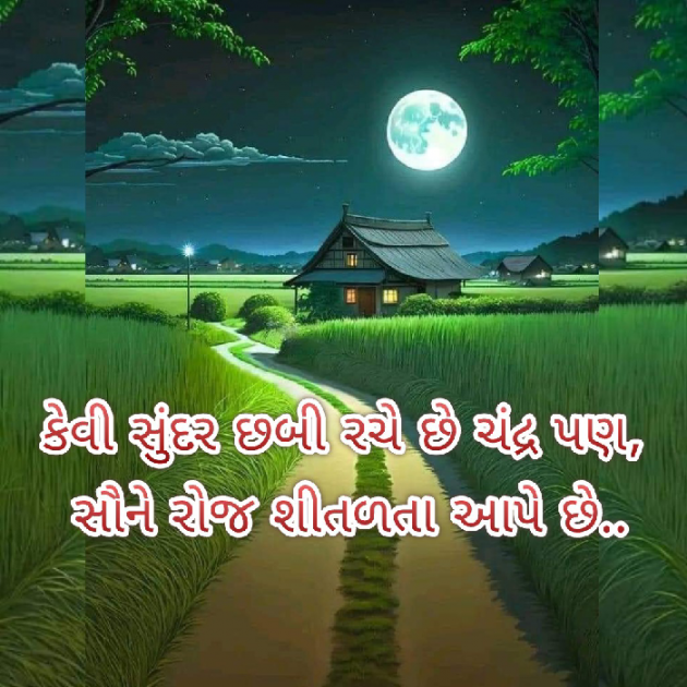 Gujarati Blog by Bhavna Bhatt : 111879988