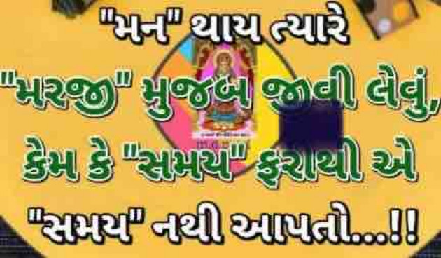 Gujarati Quotes by shah : 111880151