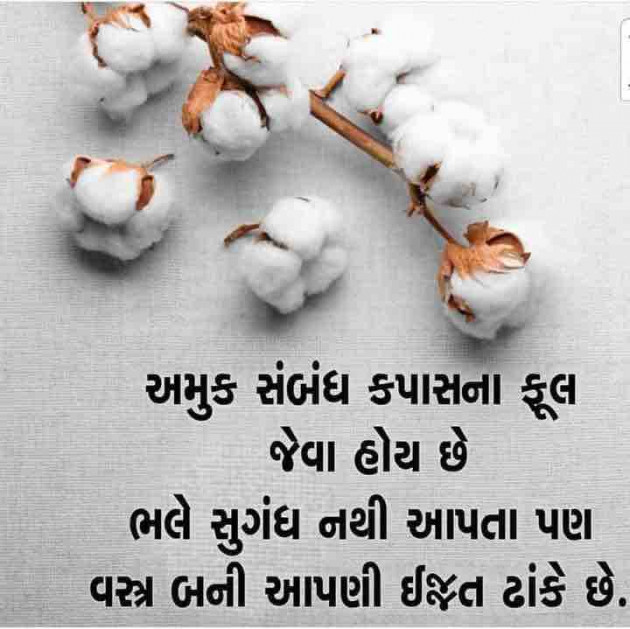 Gujarati Quotes by shah : 111880244