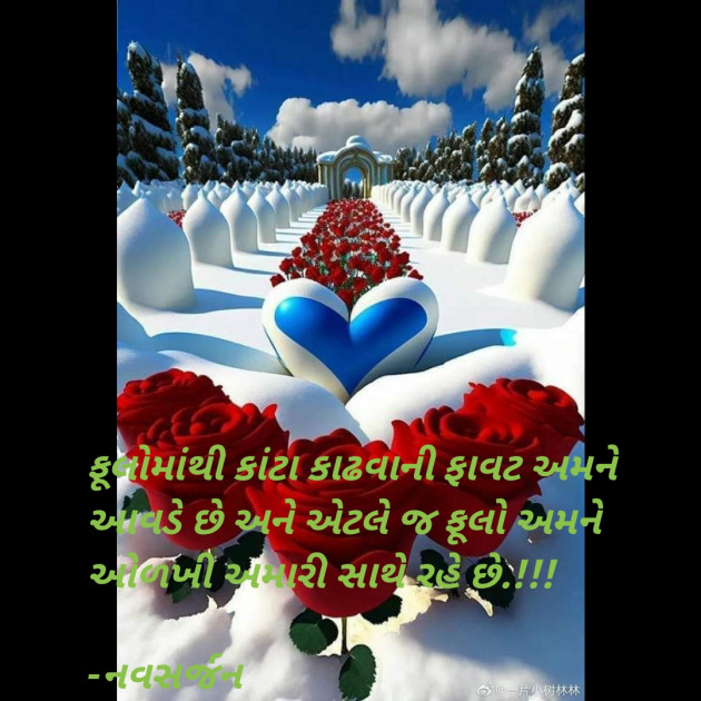 Gujarati Romance by નવસર્જન : 111880895