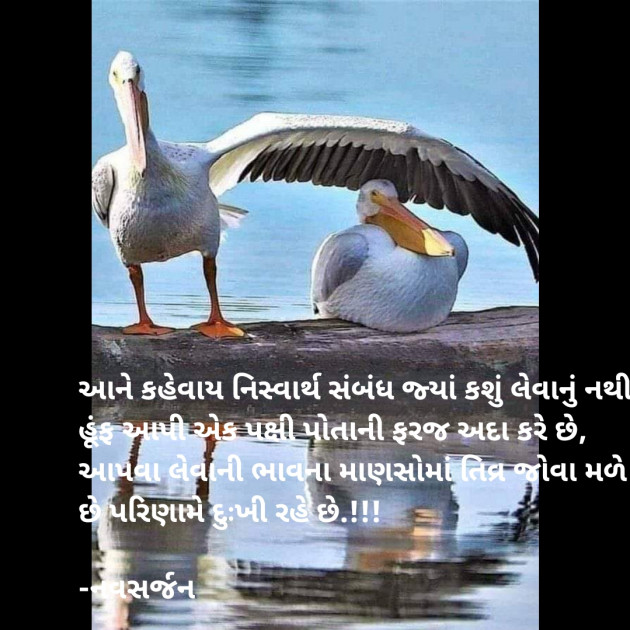 Gujarati Romance by નવસર્જન : 111880945