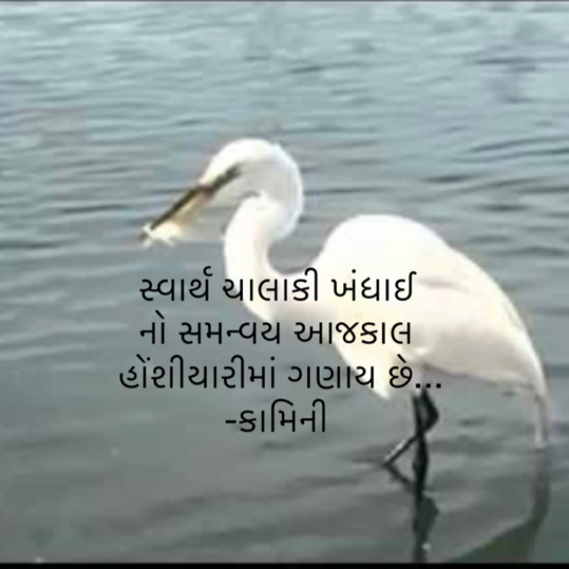 Gujarati Poem by Kamini Shah : 111881437