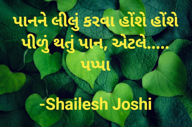 Gujarati Thought by Shailesh Joshi : 111881627