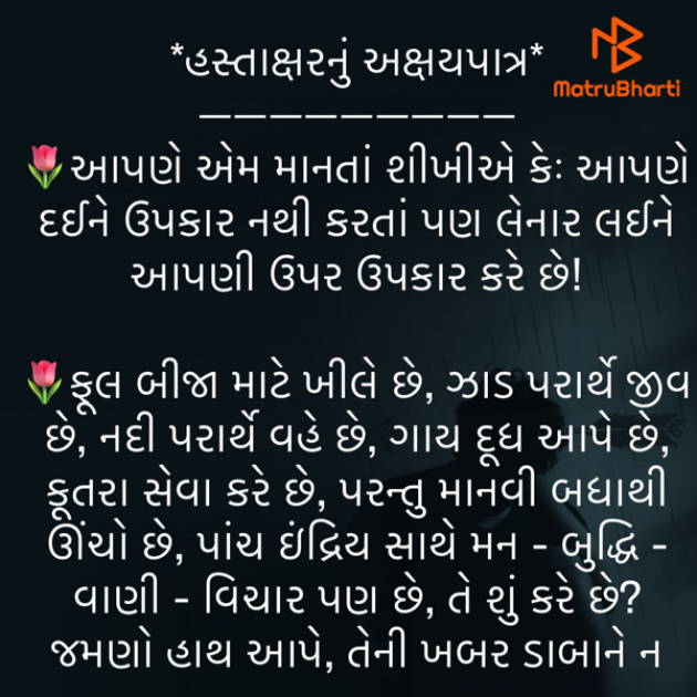 Gujarati Quotes by shah : 111881629