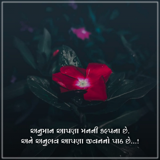 Gujarati Thought by Meraman Sindhav : 111881867