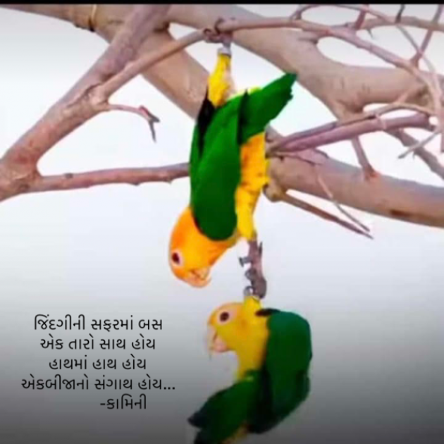 Gujarati Poem by Kamini Shah : 111882313