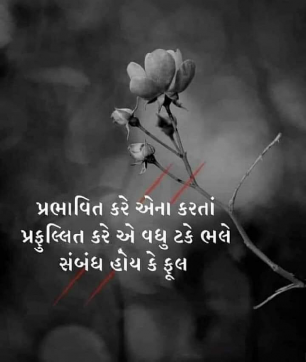 Gujarati Good Morning by Mona Ghelani : 111882971