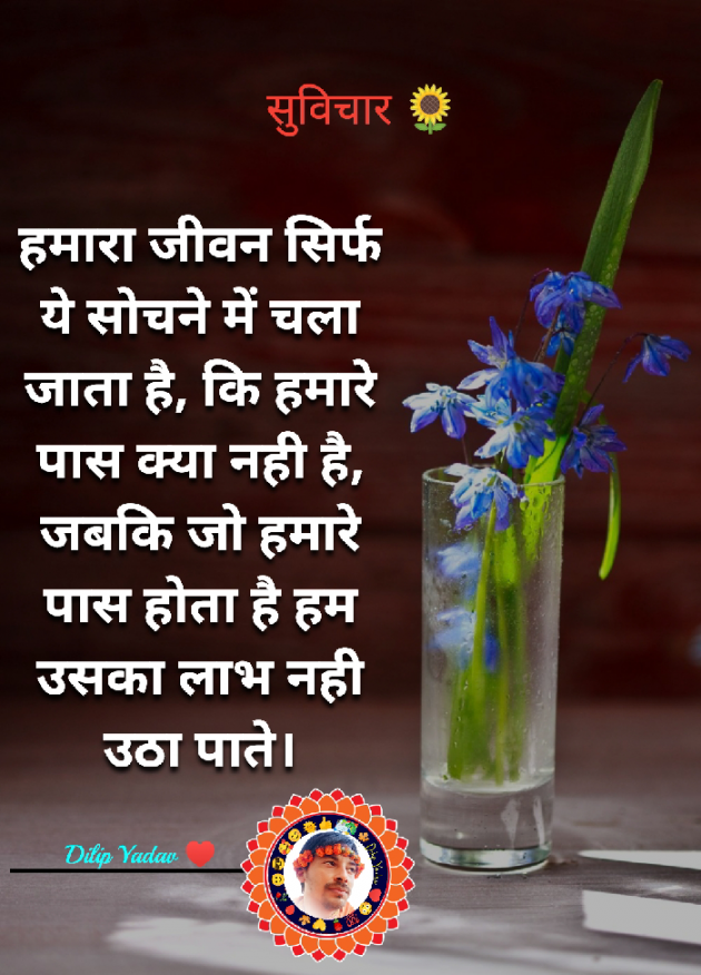 Hindi Quotes by Dilip Yadav : 111883099