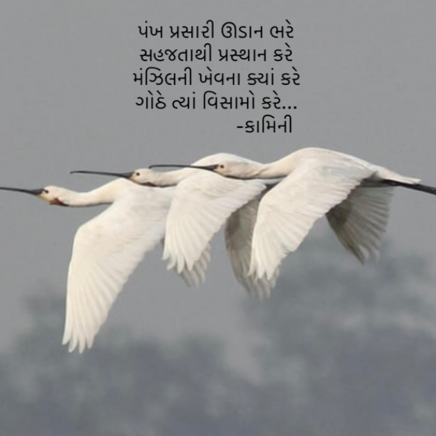 Gujarati Poem by Kamini Shah : 111883540