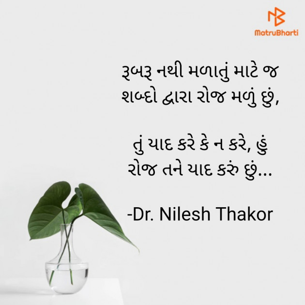 Gujarati Shayri by Dr. Nilesh Thakor : 111883663