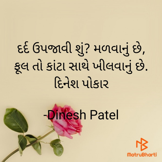 Gujarati Shayri by Dinesh Patel : 111884247