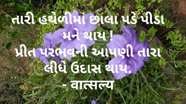 Gujarati Shayri by वात्सल्य : 111884250