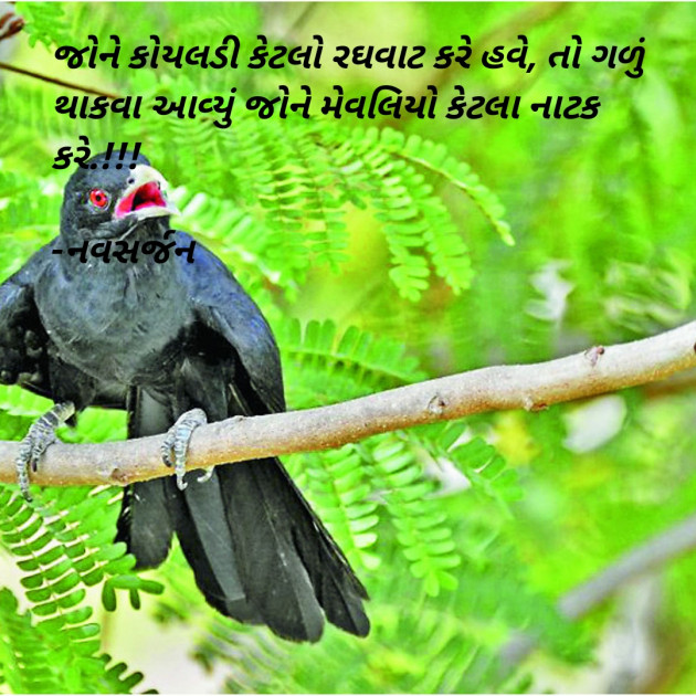 Gujarati Romance by નવસર્જન : 111884413