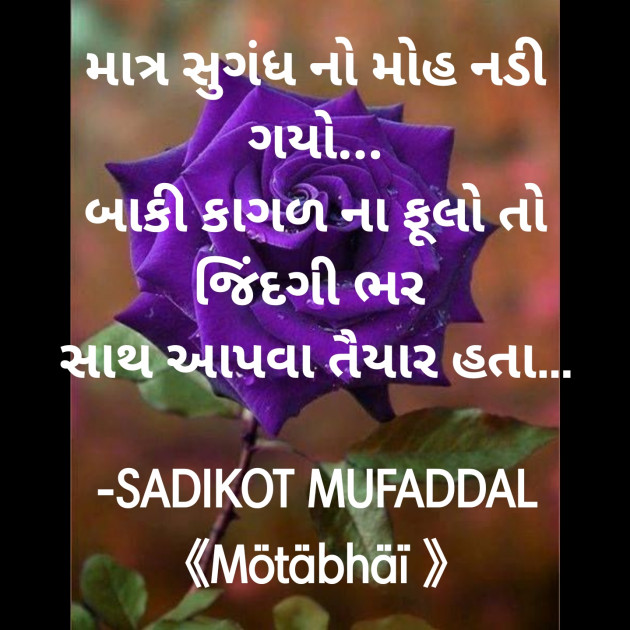 Gujarati Good Morning by SADIKOT MUFADDAL 《Mötäbhäï 》 : 111884521