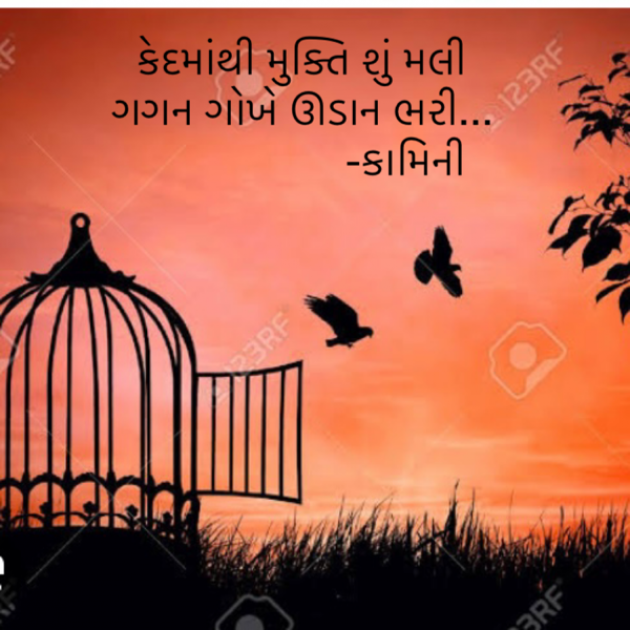 Gujarati Poem by Kamini Shah : 111884840