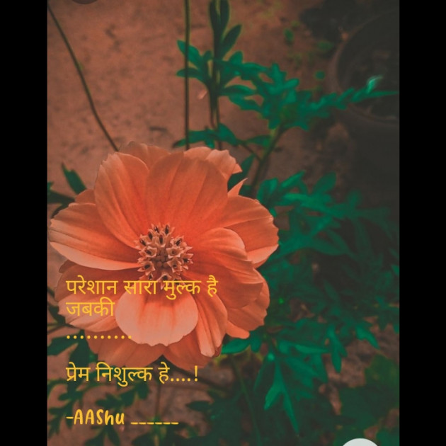 Hindi Shayri by AAShu ______ : 111885335