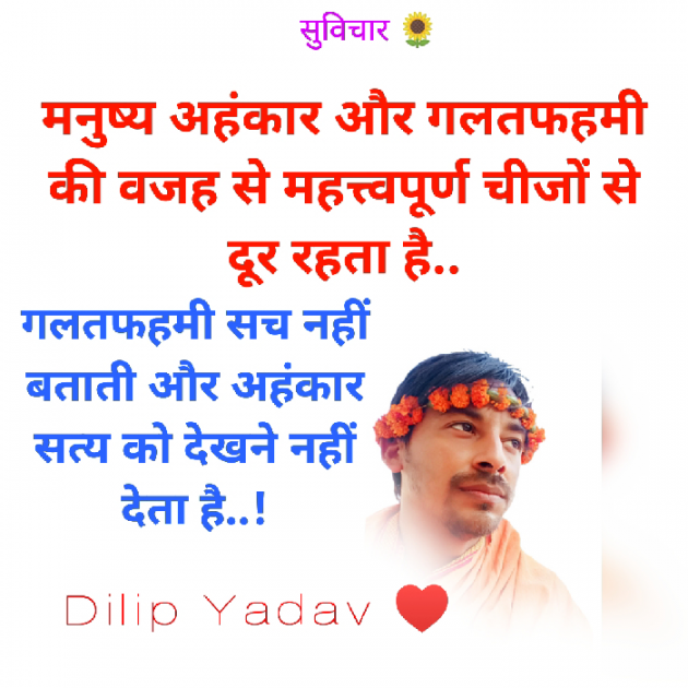 Hindi Quotes by Dilip Yadav : 111885520