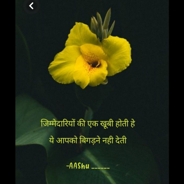 Hindi Quotes by AAShu ______ : 111885741