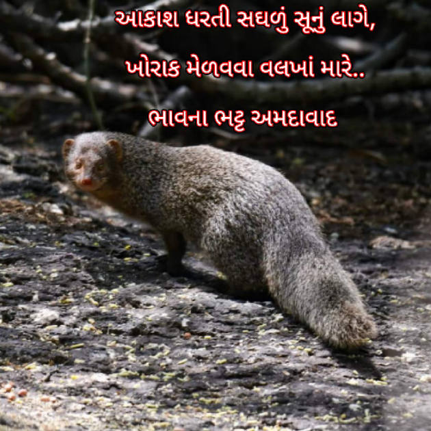 Gujarati Blog by Bhavna Bhatt : 111885896