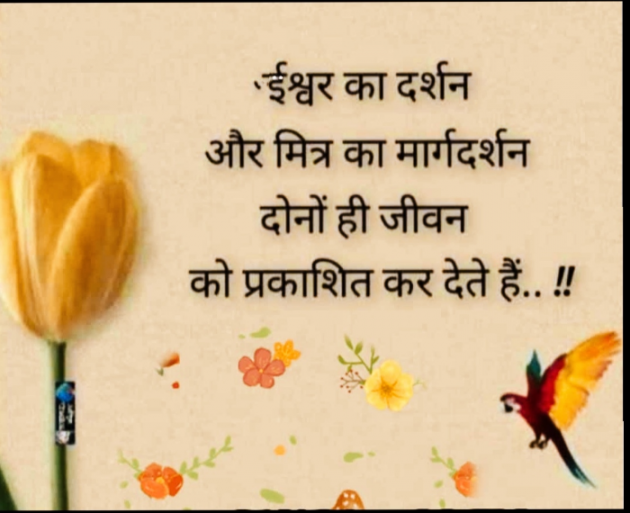 Gujarati Quotes by Sachin Nakum : 111886072