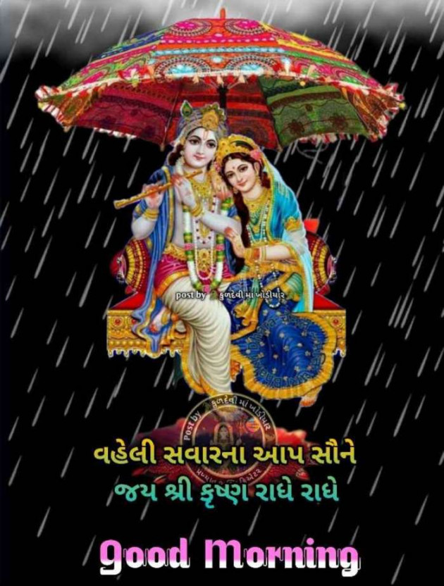 Gujarati Whatsapp-Status by Zala Jayvirsinh : 111886842