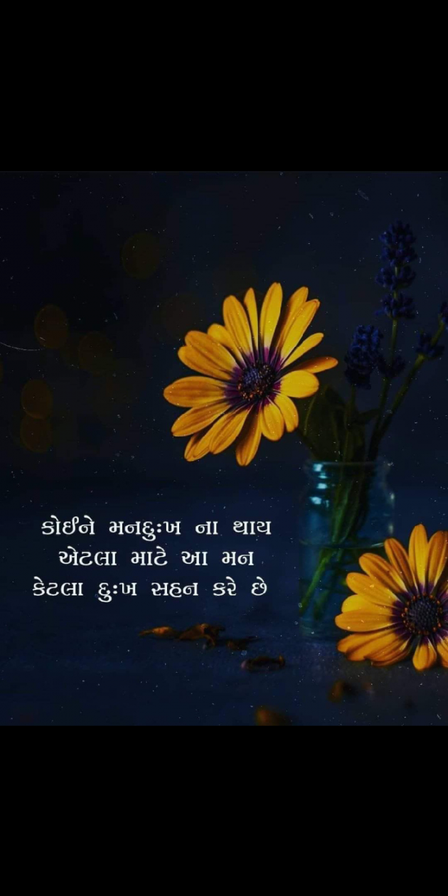 Gujarati Quotes by Meraman Sindhav : 111887135