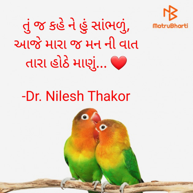 Gujarati Shayri by Dr. Nilesh Thakor : 111887222