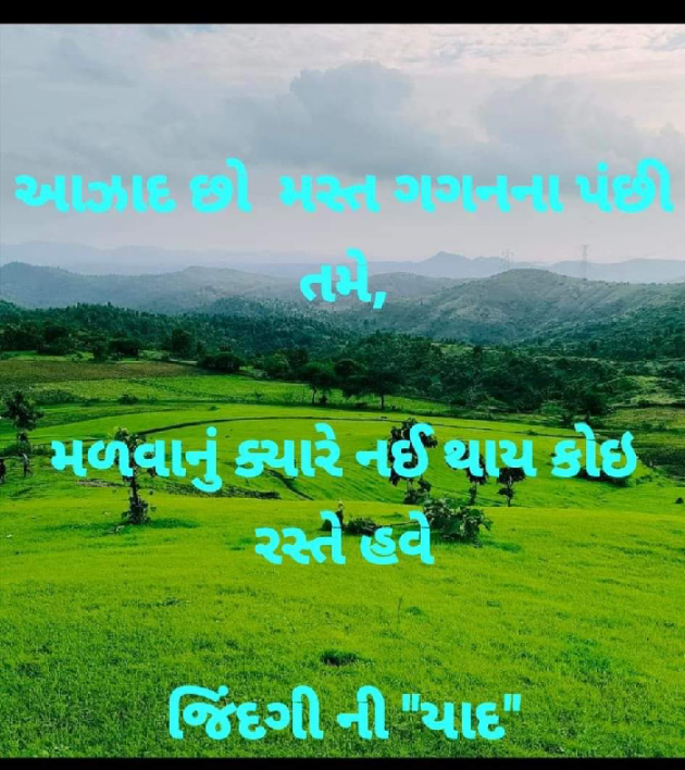 Gujarati Whatsapp-Status by Ajit : 111887471