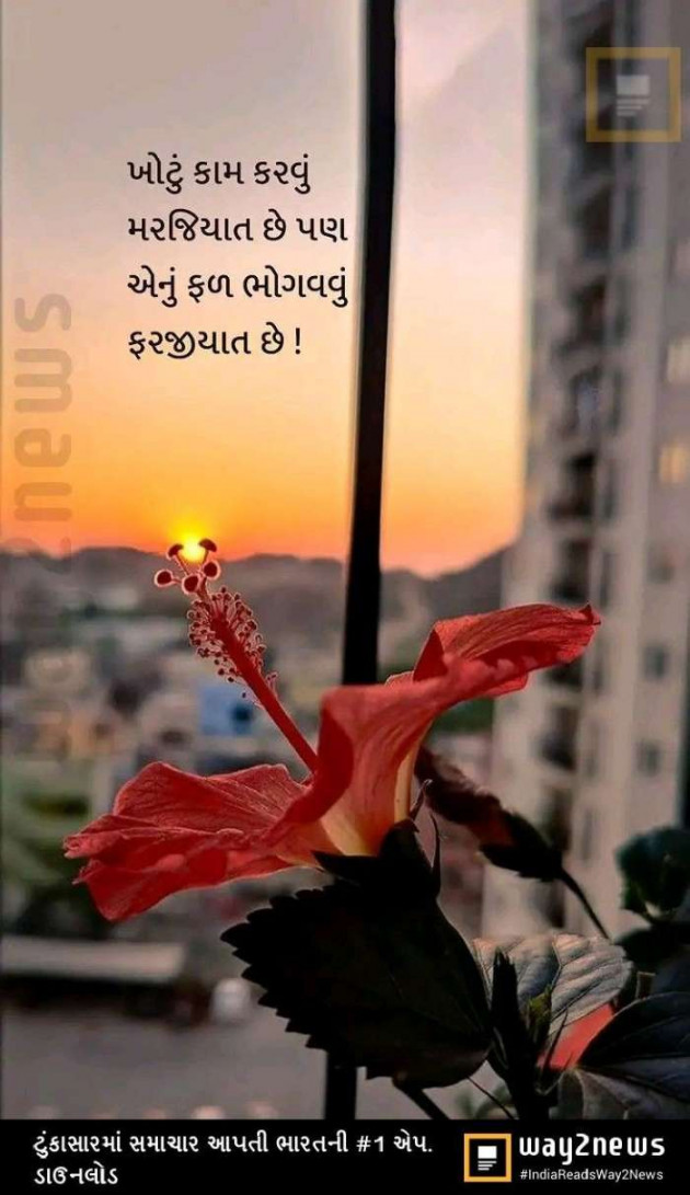 Gujarati Whatsapp-Status by Zala Jayvirsinh : 111887539