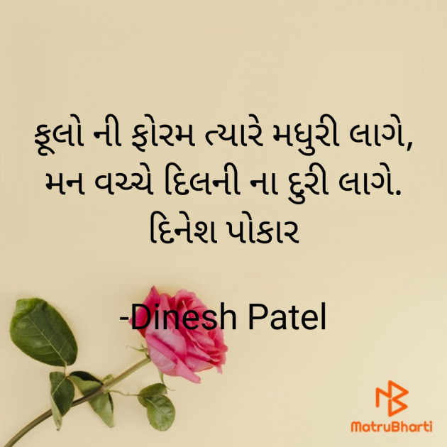 Gujarati Shayri by Dinesh Patel : 111888167