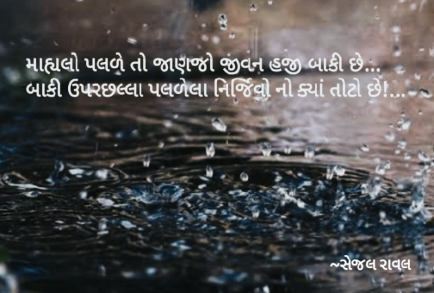 Gujarati Thought by Sejal Raval : 111888792