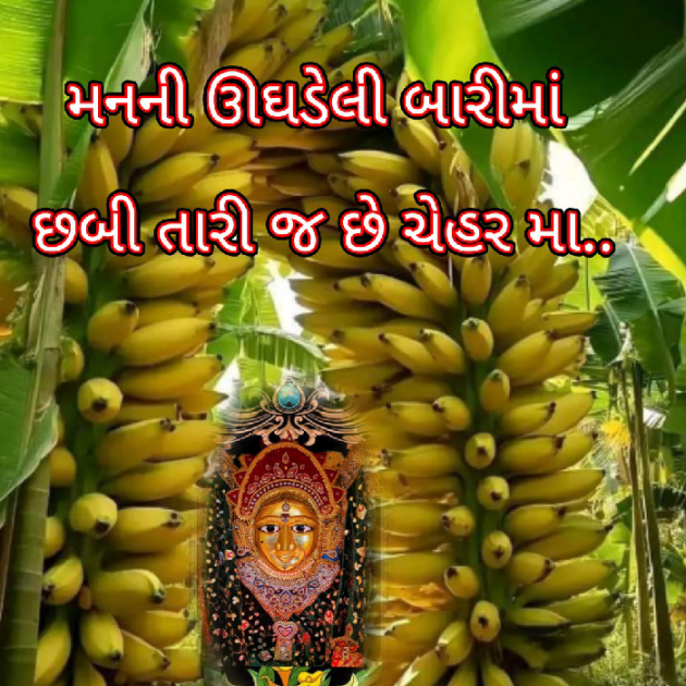 Gujarati Motivational by Bhavna Bhatt : 111888939