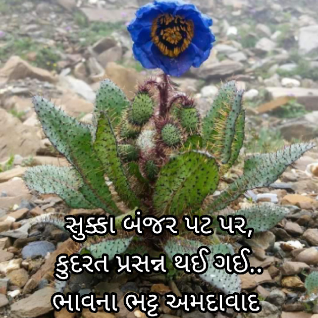 Gujarati Blog by Bhavna Bhatt : 111888964