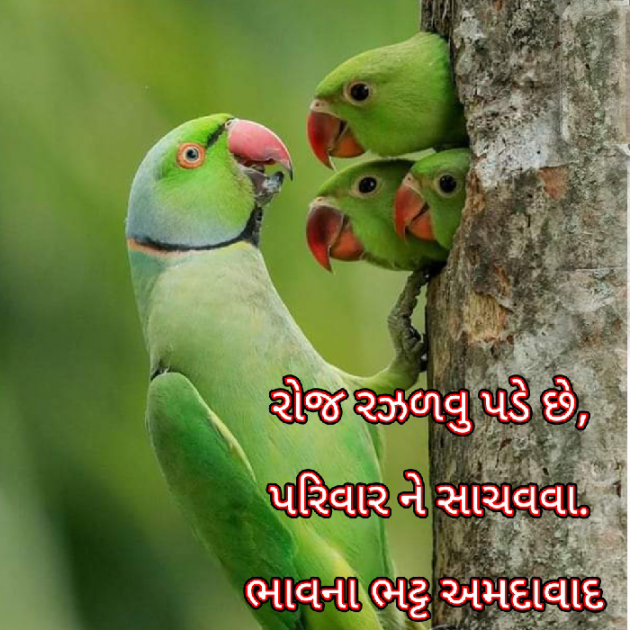 Gujarati Blog by Bhavna Bhatt : 111889187