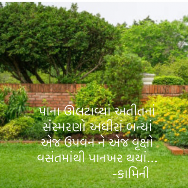 Gujarati Poem by Kamini Shah : 111889225