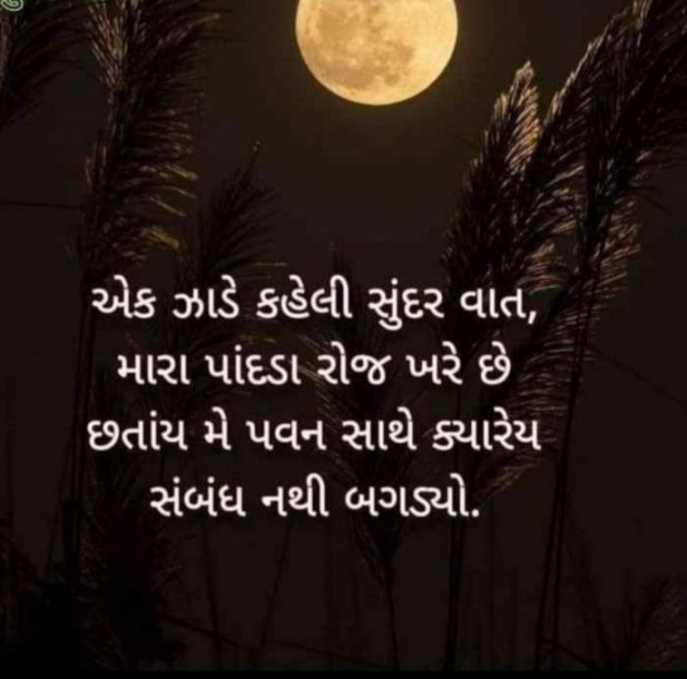 Gujarati Whatsapp-Status by Zala Jayvirsinh : 111889672