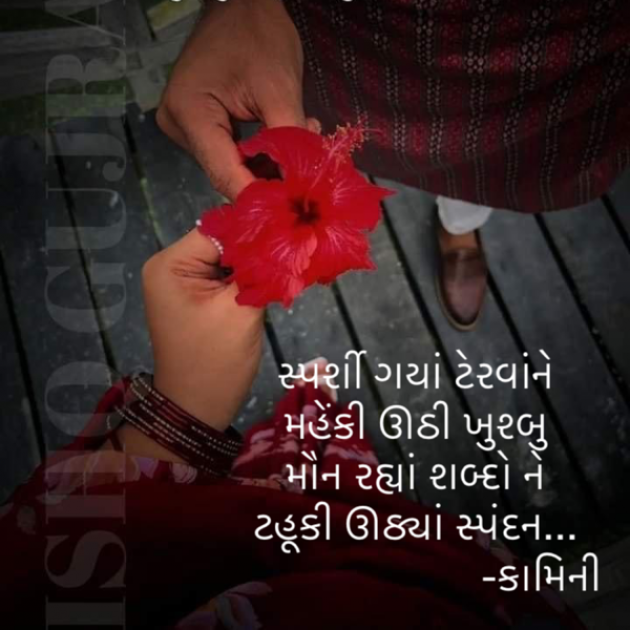 Gujarati Poem by Kamini Shah : 111889729