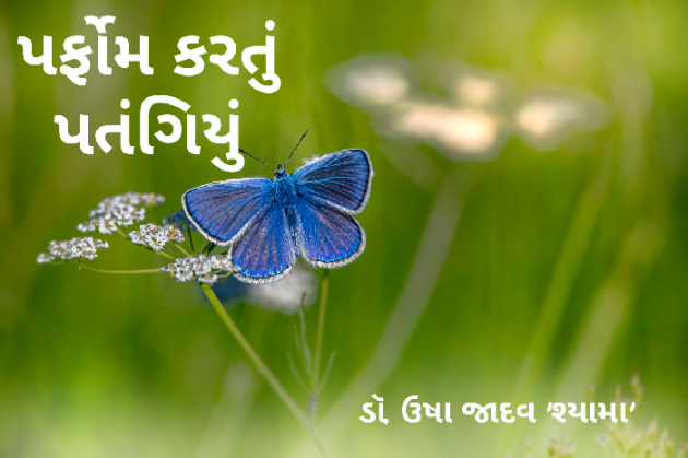 Gujarati Poem by Parth Prajapati : 111889854