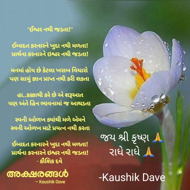 Gujarati Blog by Kaushik Dave : 111889895