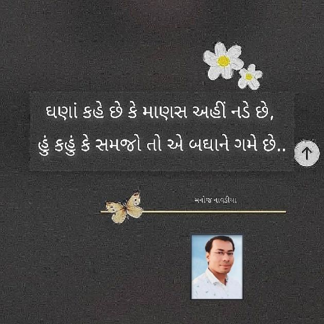 Gujarati Motivational by મનોજ નાવડીયા : 111889978